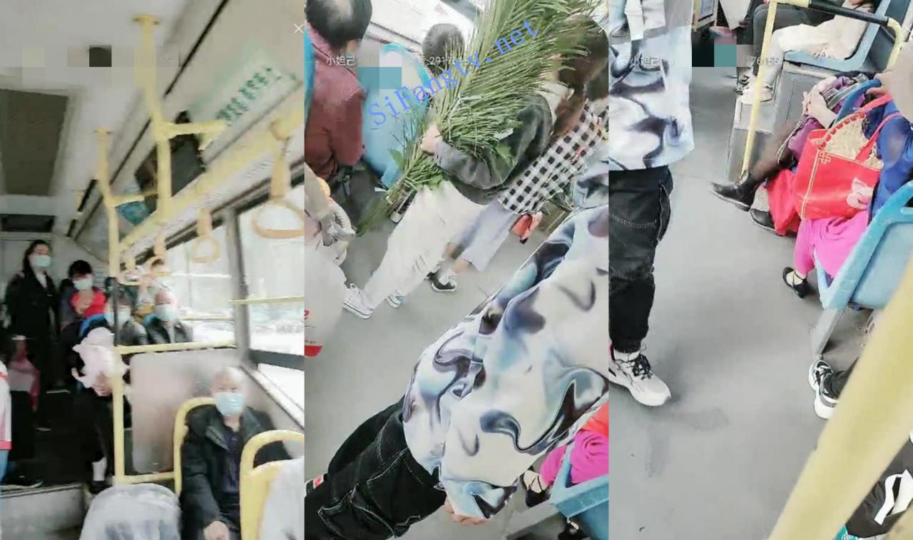 极品尤物 泡泡没人爱 公厕跳蛋自慰 淫水直喷 跟瀑布一样 图 02