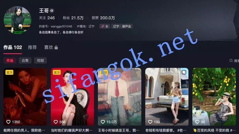 抖音 王哥 200万粉大网红 情趣骚舞定制9V,绝版收藏 图 02