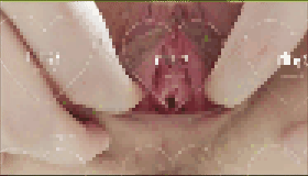 推特 看着很乖的妹子 Wowring 大尺度视图私拍 特写掰穴 图 11